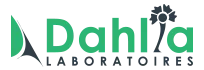 DAHLIA